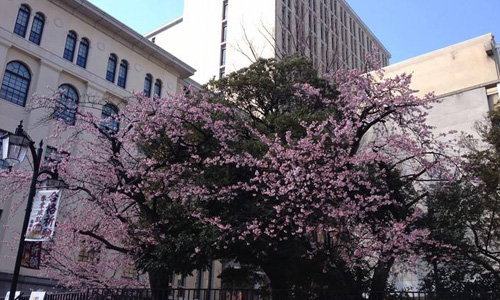 日本東京家政大學(xué)