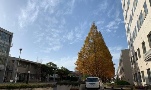 名古屋藝術大學申請條件