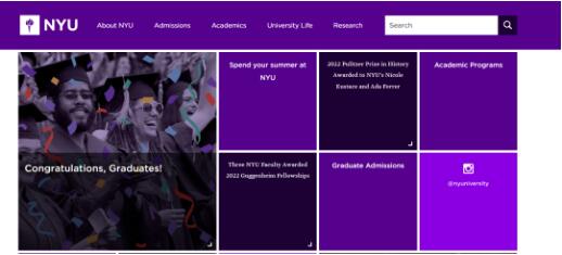 NYU官網(wǎng)截圖